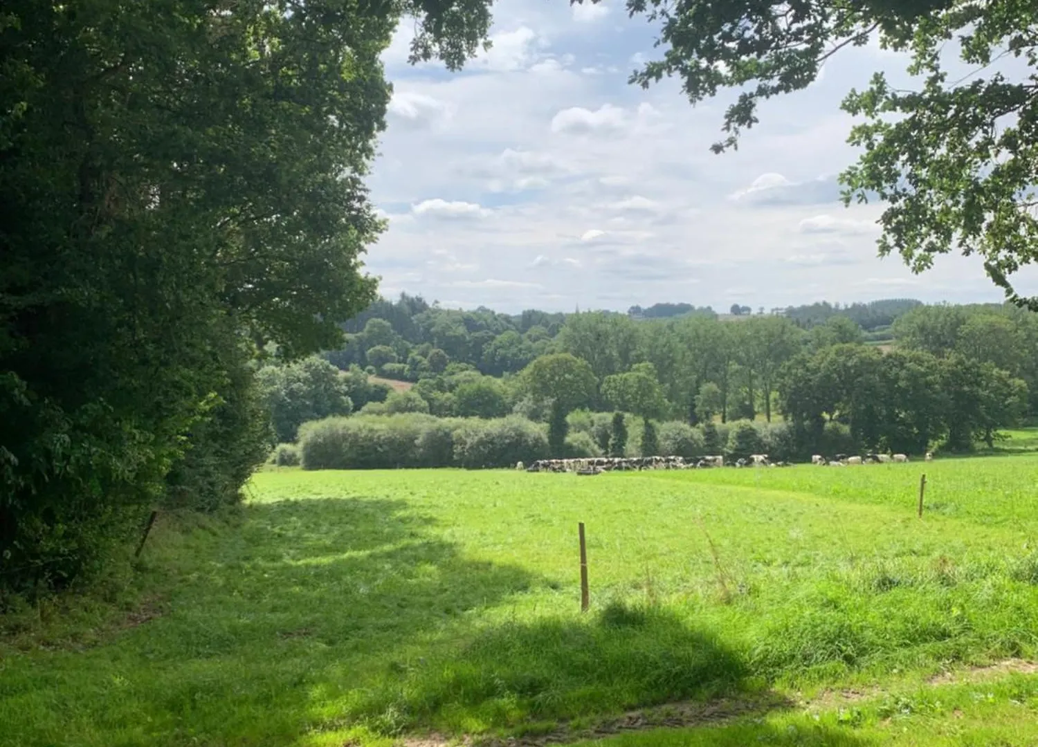 Countryside Retreat In Brittany 2 Bedrooms Sleeps 4 Pet Friendly Heated Swimming Pool Free Wifi Plouguenast-Langast